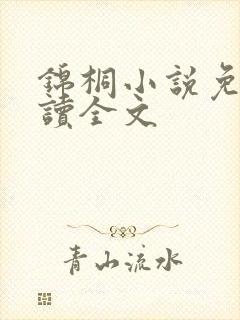 锦桐小说免费阅读全文