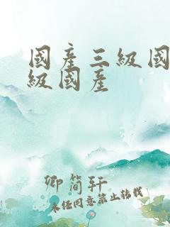 国产三级国产三级国产