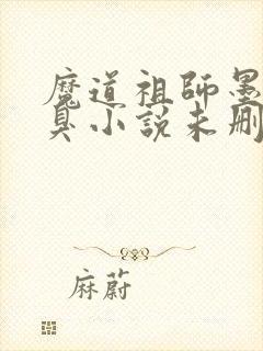 魔道祖师墨香铜臭小说未删版完整