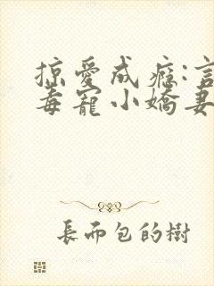 掠爱成瘾:言少毒宠小娇妻