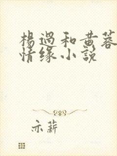 杨过和黄蓉荒岛情缘小说