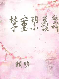 林安玥叶惊宸叶予墨小说叫什么