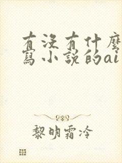 有没有什么专门写小说的ai软件?