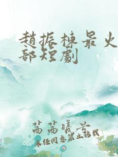 赵振栋最火10部短剧