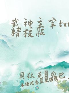 武神主宰txt精校版