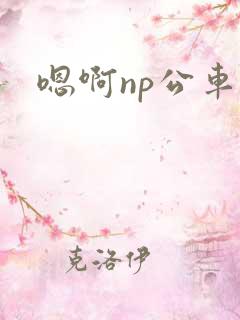 嗯啊np公车
