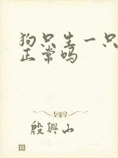 狗只生一只小狗正常吗