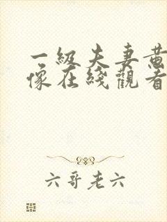 一级夫妻黄色录像在线观看