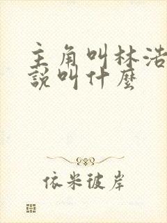 主角叫林浩的小说叫什么