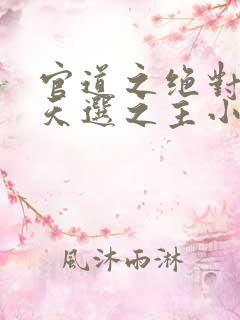 官道之绝对权力天选之主小说无弹窗