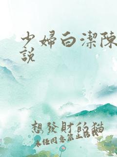 少妇白洁陈三小说