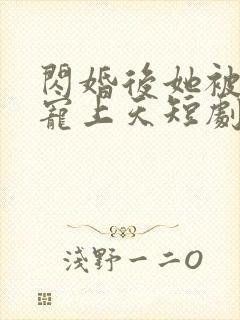 闪婚后她被顾总宠上天短剧全集在线观看