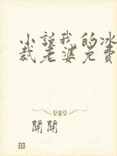 小说我的冰山总裁老婆免费看