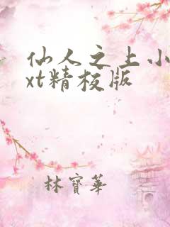 仙人之上小说txt精校版