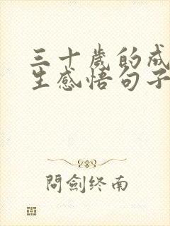 三十岁的成熟人生感悟句子