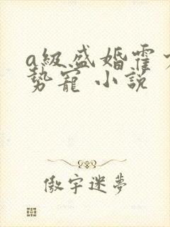 a级盛婚霍少强势宠 小说
