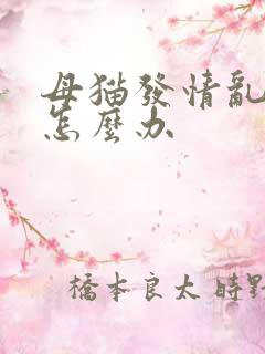 母猫发情乱撒尿怎么办