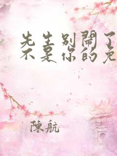 先生别闹了新娘不是你的免费观看全集