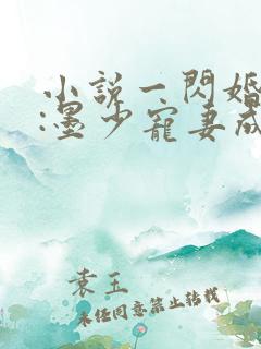 小说一闪婚厚爱:墨少宠妻成瘾