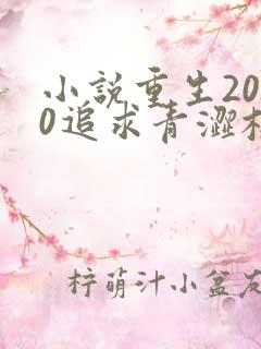 小说重生2000追求青涩校花同桌开始全文阅读