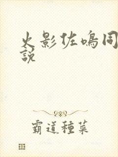 火影佐鸣同人小说