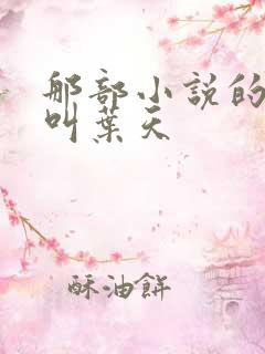 那部小说的主角叫叶天
