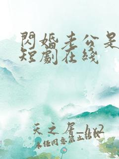 闪婚老公是豪门短剧在线