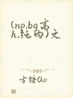 (np,bg高h,纯肉)文
