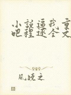 小说逼我重生是吧程逐全文免费读