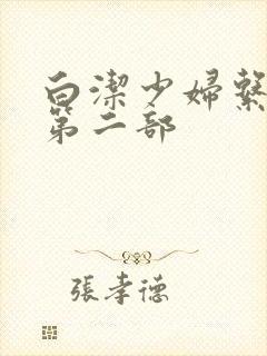 白洁少妇系列h第二部