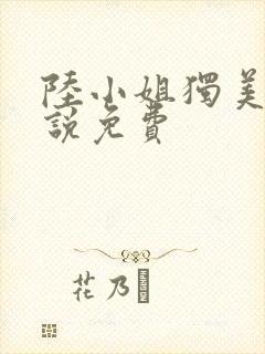 陆小姐独美后小说免费