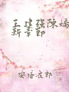 王建强陈娇娇最新章节