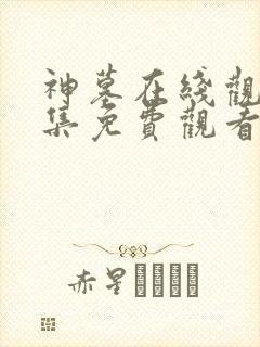 神墓在线观看全集免费观看动漫超高清