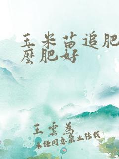 玉米苗追肥用什么肥好