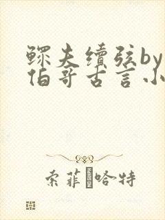 鳏夫续弦by大伯哥古言小说