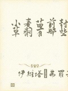 小麦苗前封闭除草剂有哪些