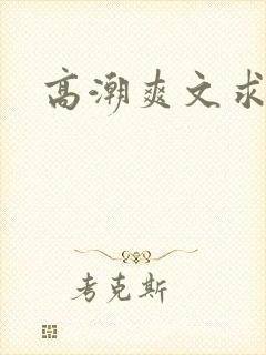 高潮爽文求操