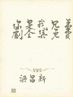 你是我兄弟电视剧全集免费观看高清