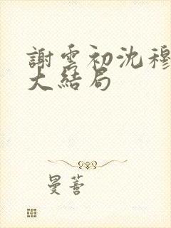 谢云初沈穆小说大结局