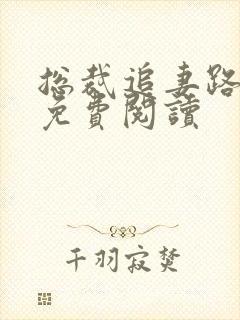 总裁追妻路漫漫免费阅读