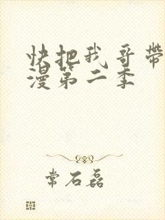 快把我哥带走动漫第二季