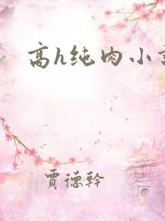 高h纯肉小说文