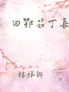 田鄂茹丁长生
