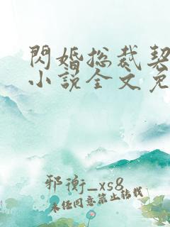 闪婚总裁契约妻小说全文免费完结版