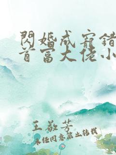 闪婚成宠错嫁了首富大佬小说