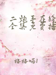 二炮手在线观看全集免费播放