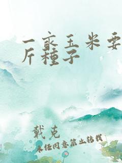 一亩玉米要多少斤种子