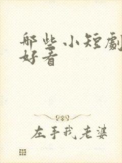 哪些小短剧比较好看