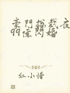 豪门总裁夜夜忙99亿闪婚