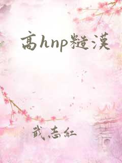 高hnp糙汉